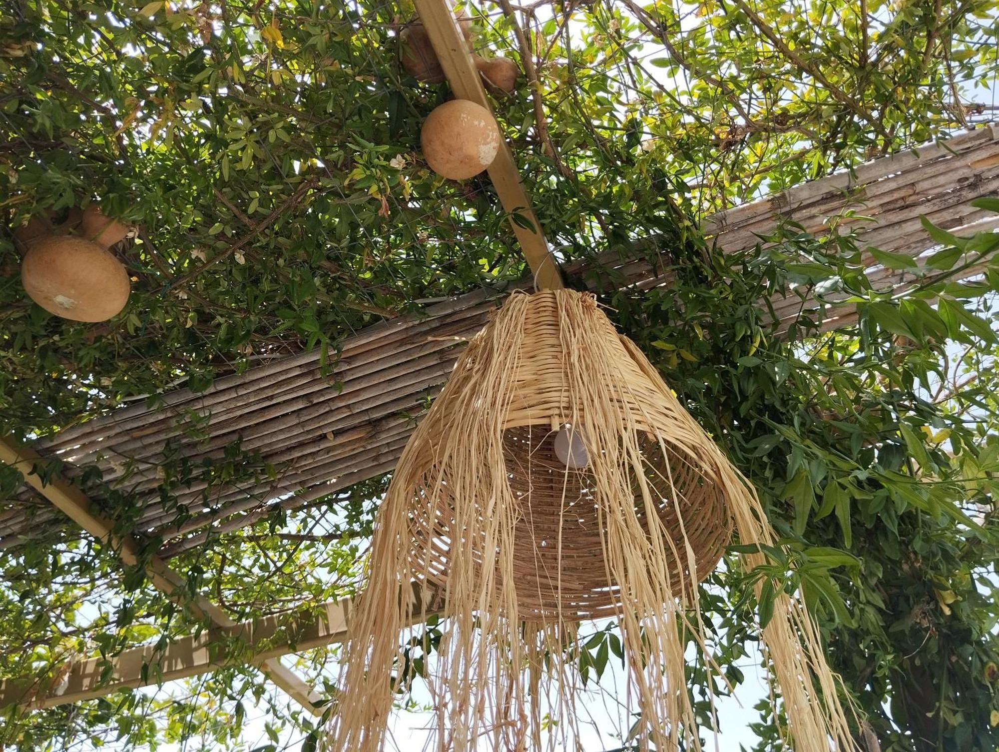 Oasis House In Filerimos Casă la țară Ialysos (Rhodes)