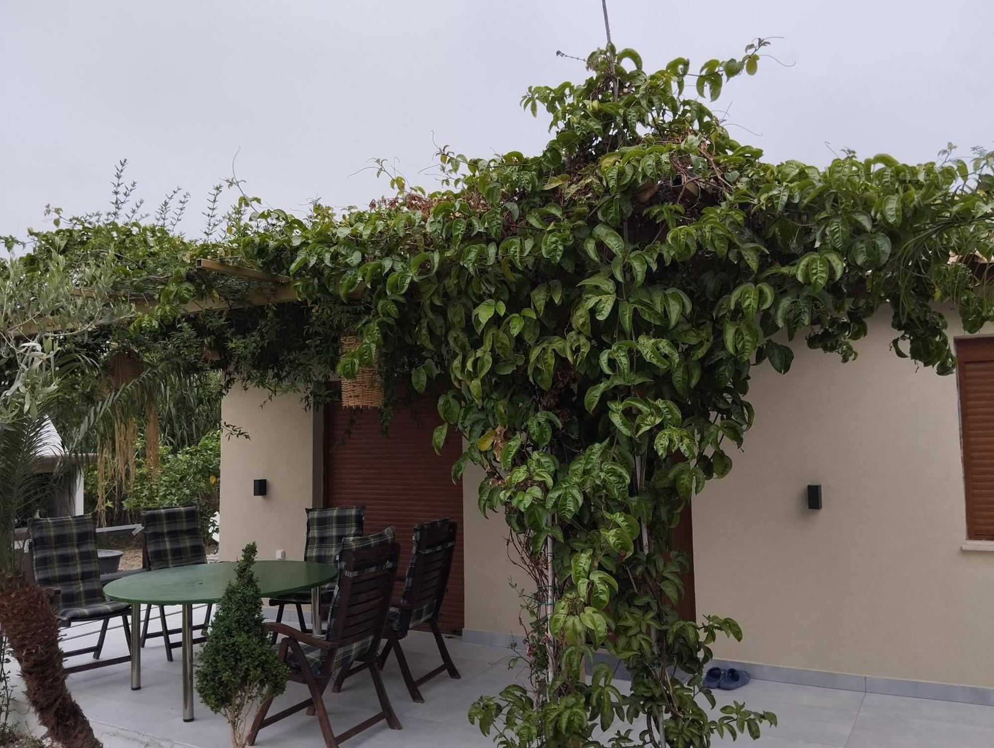 Casă la țară Oasis House In Filerimos Ialysos (Rhodes)